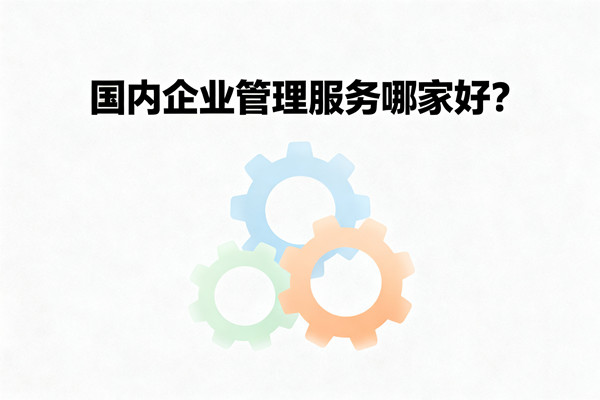 國內企業(yè)管理服務哪家好？